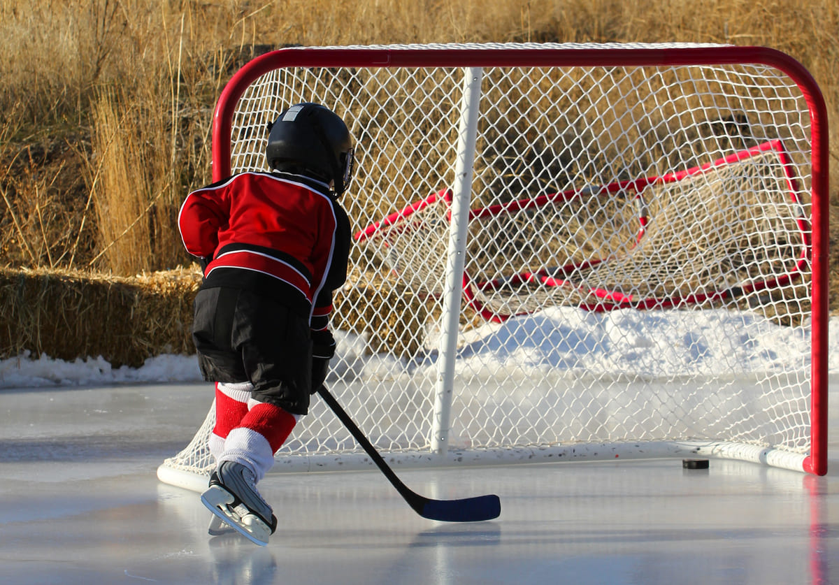 Portería de hockey sobre hielo